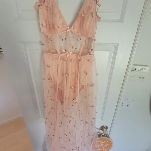 For Love & Lemons sheer Maxi Rose dress - Picture 11 of 13